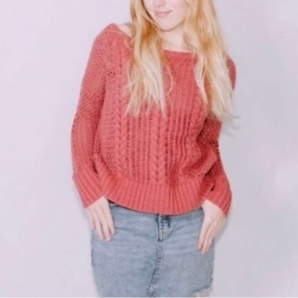 The strawberry sweater